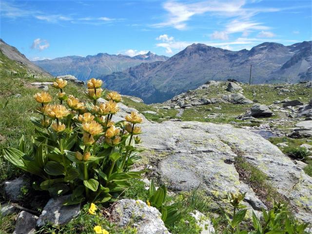 Engadin (4)