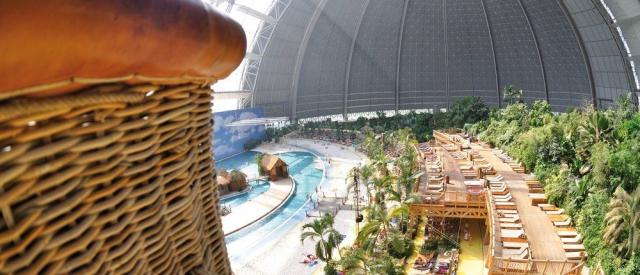 Tropical5.jpg