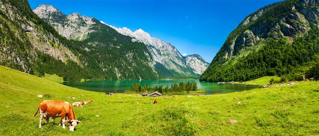 shutterstock_1354978343.jpg