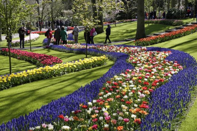 Keukenhof 1.jpg