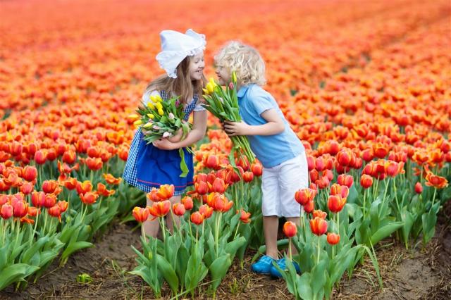 Velikonoční Keukenhof1.jpg