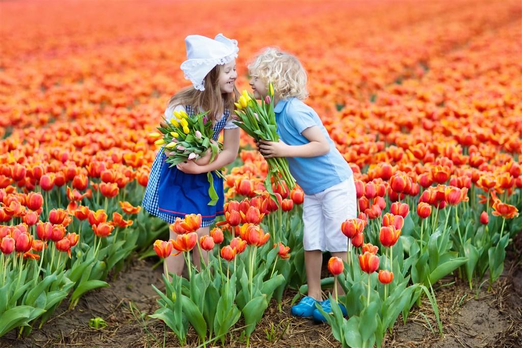 Keukenhof na otočku