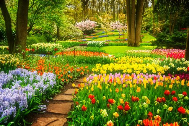 KEUKENHOF.jpg