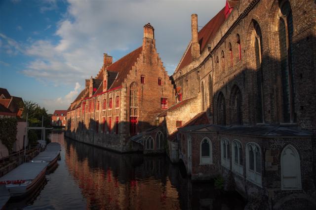 BRUGGY_shutterstock_1174184815.jpg