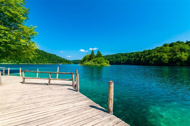 shutterstock_2028838649.jpg