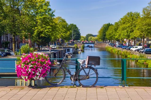 shutterstock_17034526811.jpg