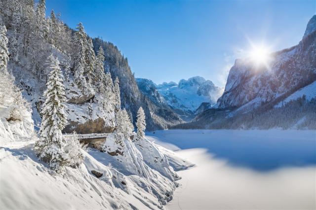 shutterstock_562819666.jpg