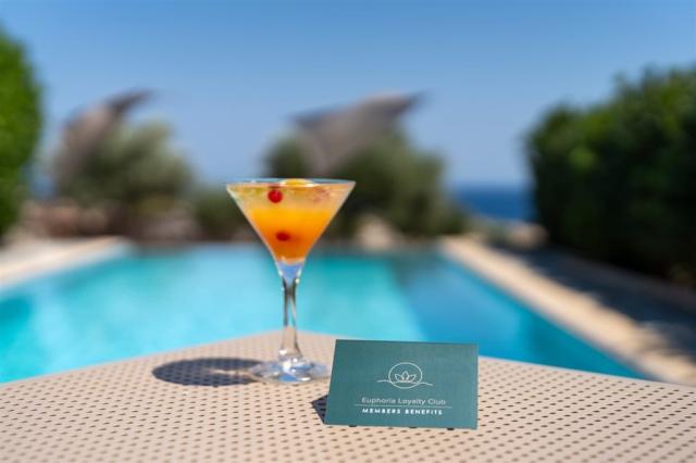 euphoria-club_junior-suite_pool-detail.jpg