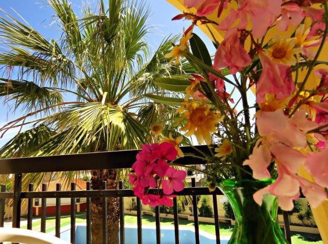 balcony-view.jpg
