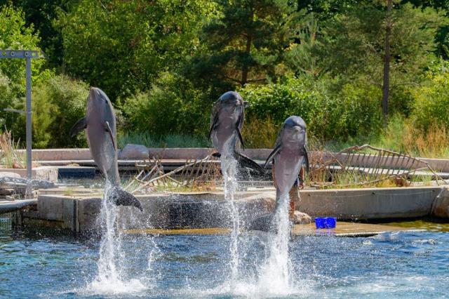 zoo norimberk 24.jpg
