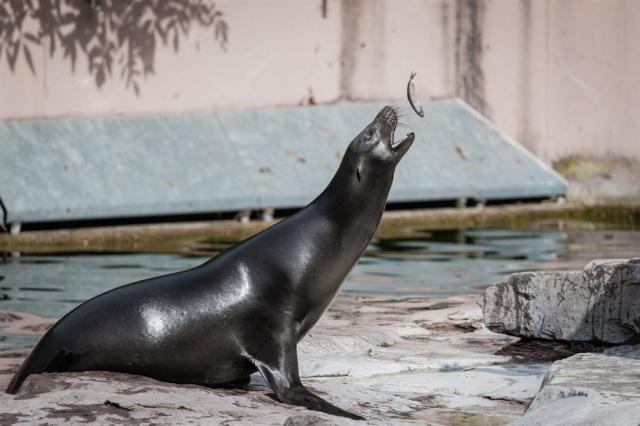 zoo norimberk 18.jpg