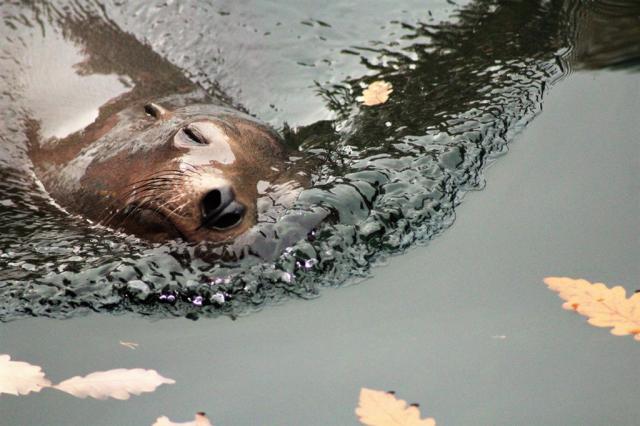 zoo norimberk 21.jpg