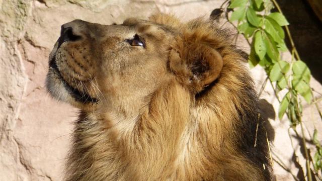 zoo norimberk 3.jpg