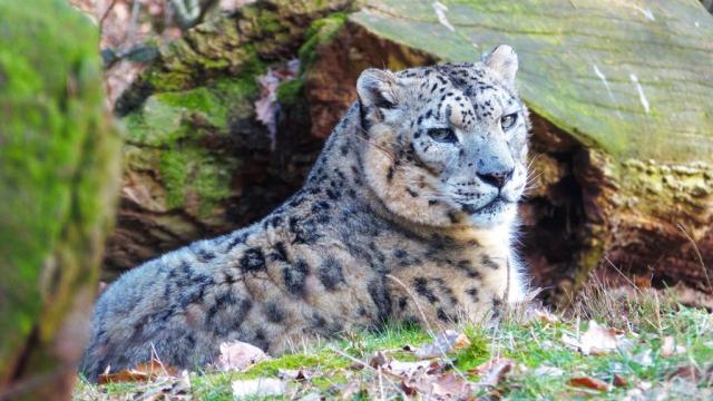 zoo norimberk 7.jpg