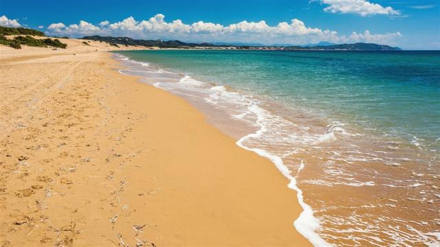 ipsos-di-mare-7.jpg