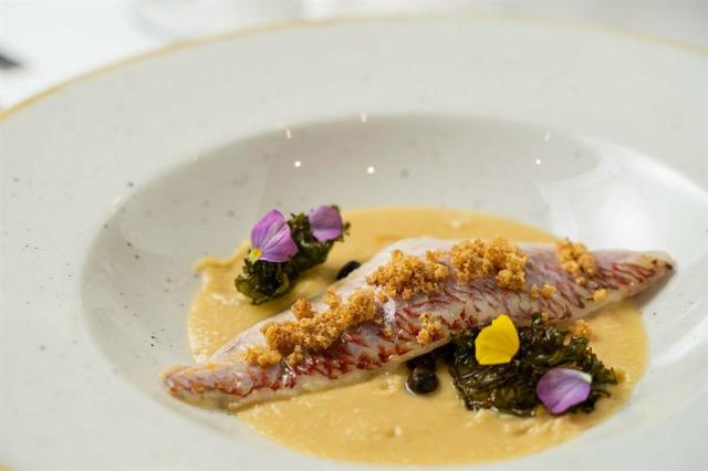 gastronomy-gallery-fish.jpg