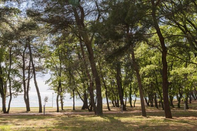 Apartments_Stella_Plava_Laguna_2016_Premium_Apartment-4_view-10