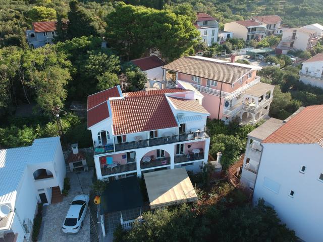 Studia Lenka Gradac