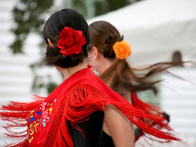 Flamenco
