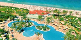 Riadh Palms