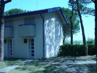 Ginepri