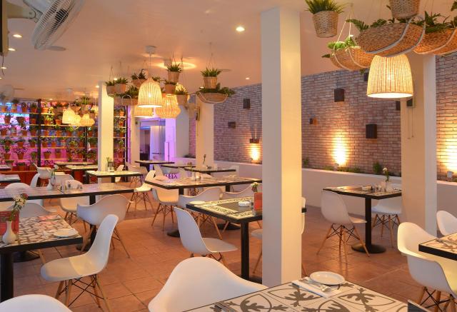 Napa Plaza (Adults Only)