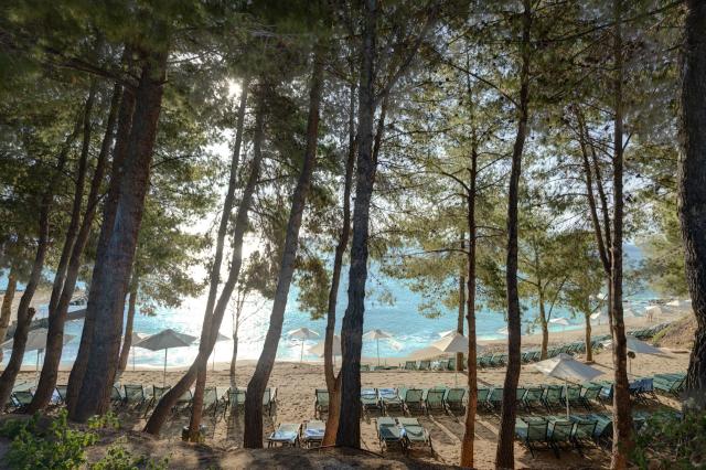 Candia Park Village