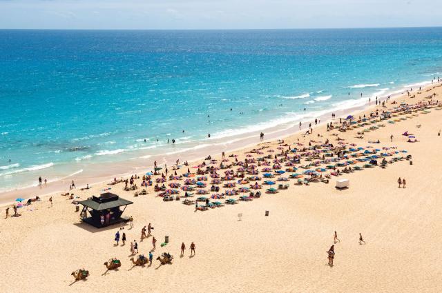 Riu Oliva Beach Resort