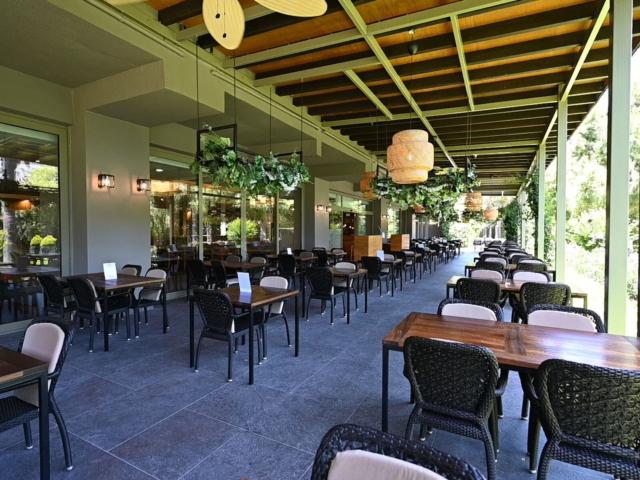 Barut Hemera