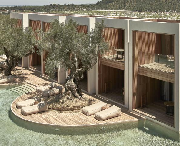 Olea All Suite