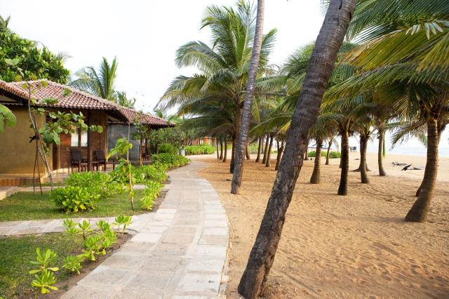 Club Hotel Dolphin