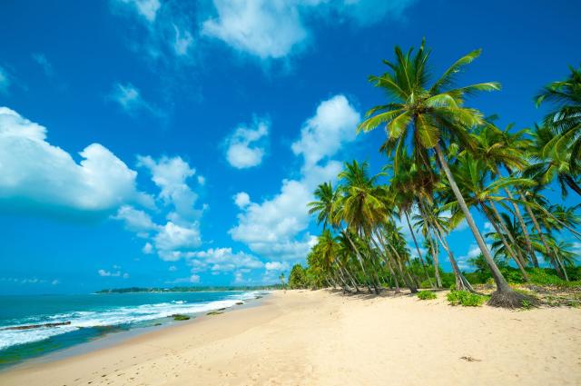 Riu Sri Lanka