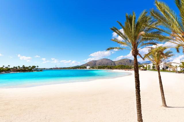 Globales Condes de Alcudia