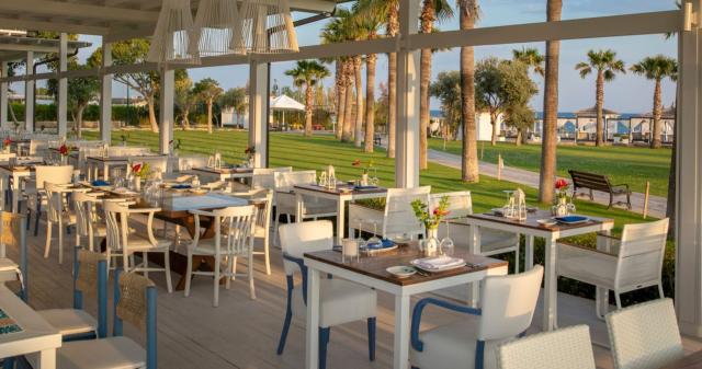 Barut Lara