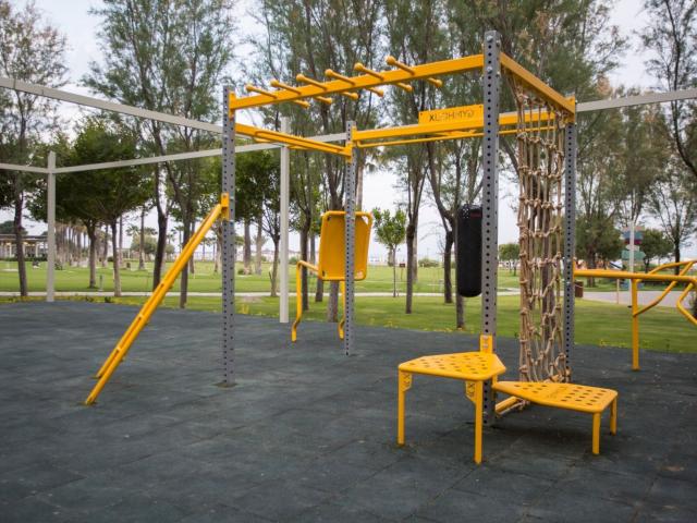 Barut Lara