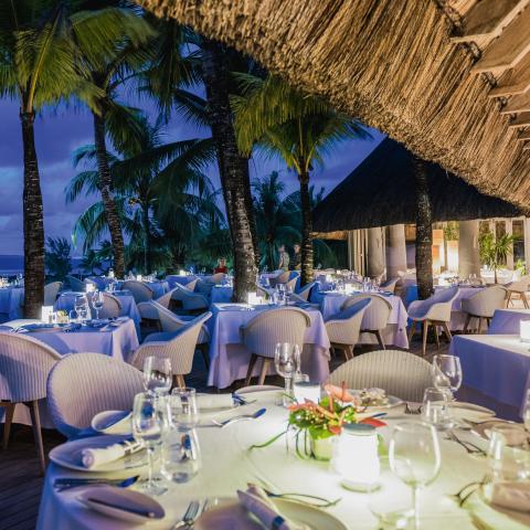 Beachcomber Le Canonnier