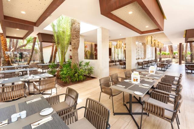 RIU Palace Oasis