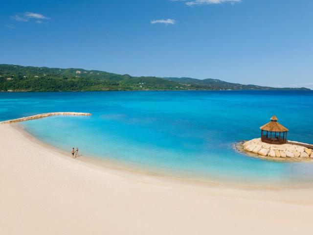 Secrets Wild Orchid
