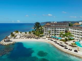 Secrets Wild Orchid
