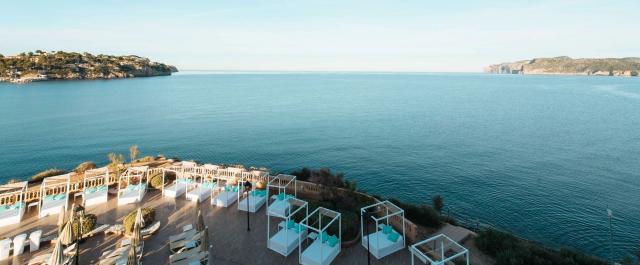 Sentido Fido Punta del Mar
