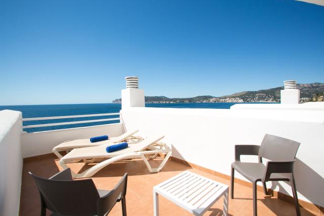 Sentido Fido Punta del Mar