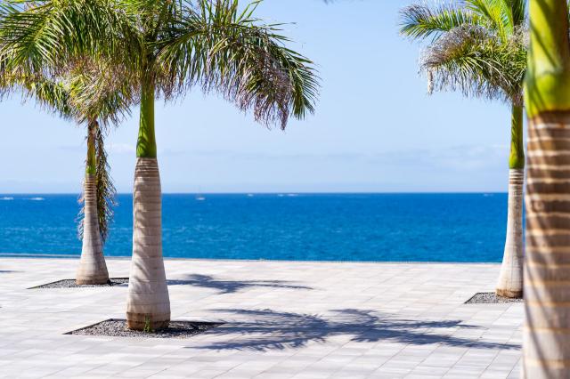 Hovima Jardín Caleta