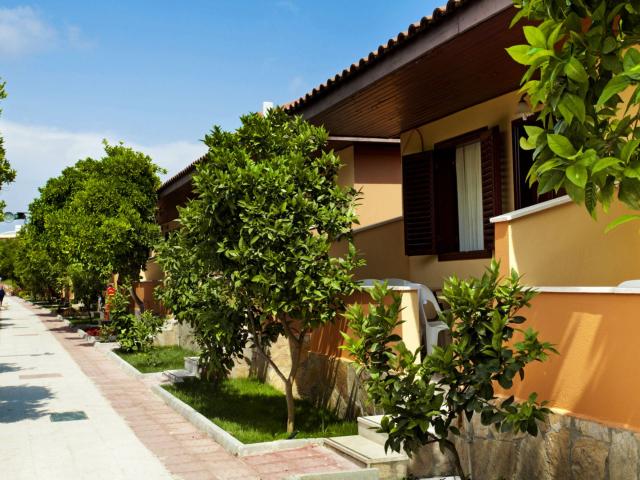 Özlem Garden