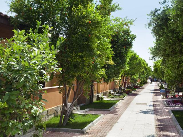 Özlem Garden