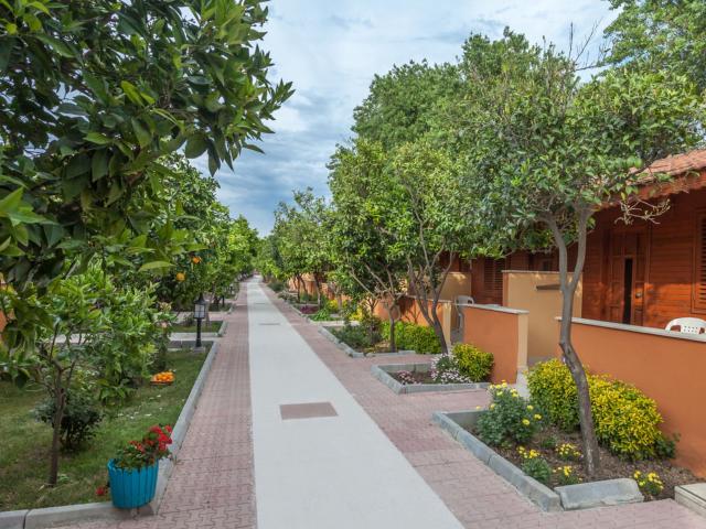 Özlem Garden