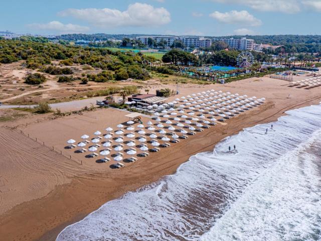 Barut Goia
