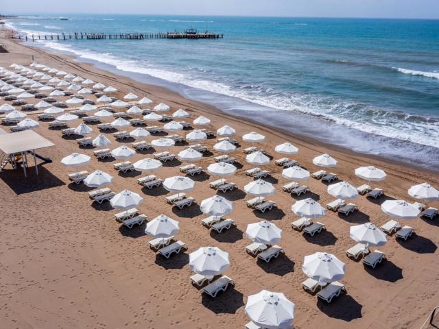 Barut Goia