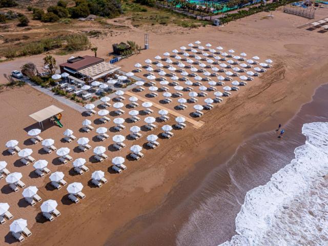 Barut Goia