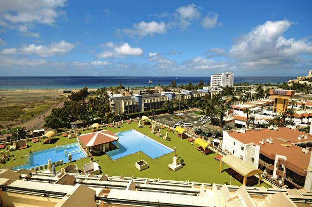 Palm Garden