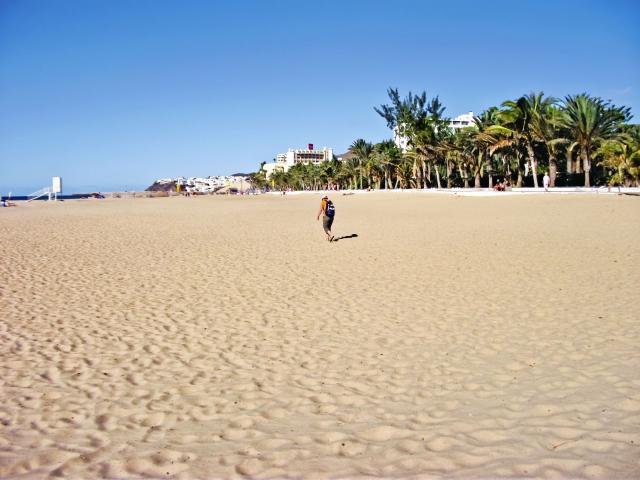 Palm Garden